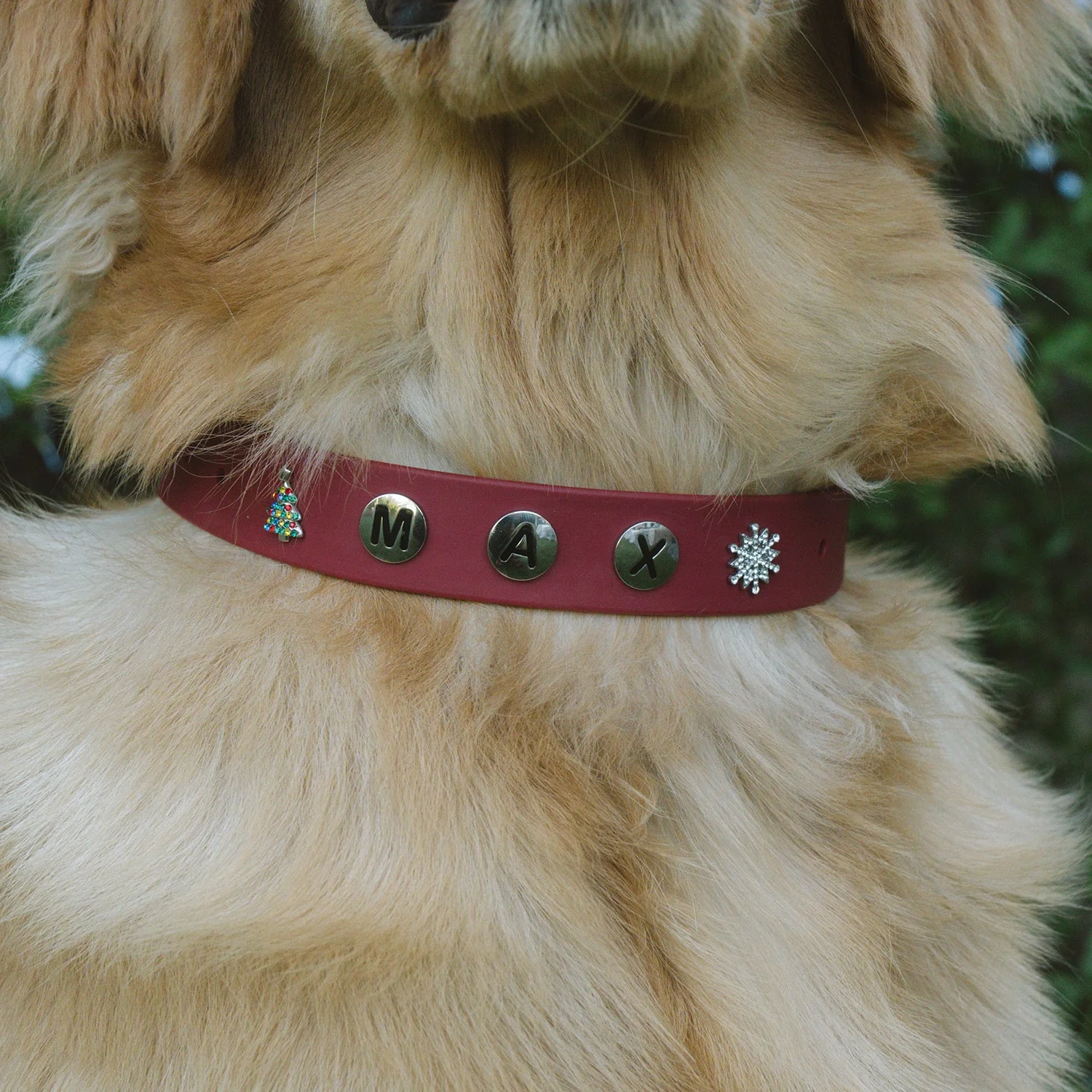 Build Your Dog Collar - Image 8