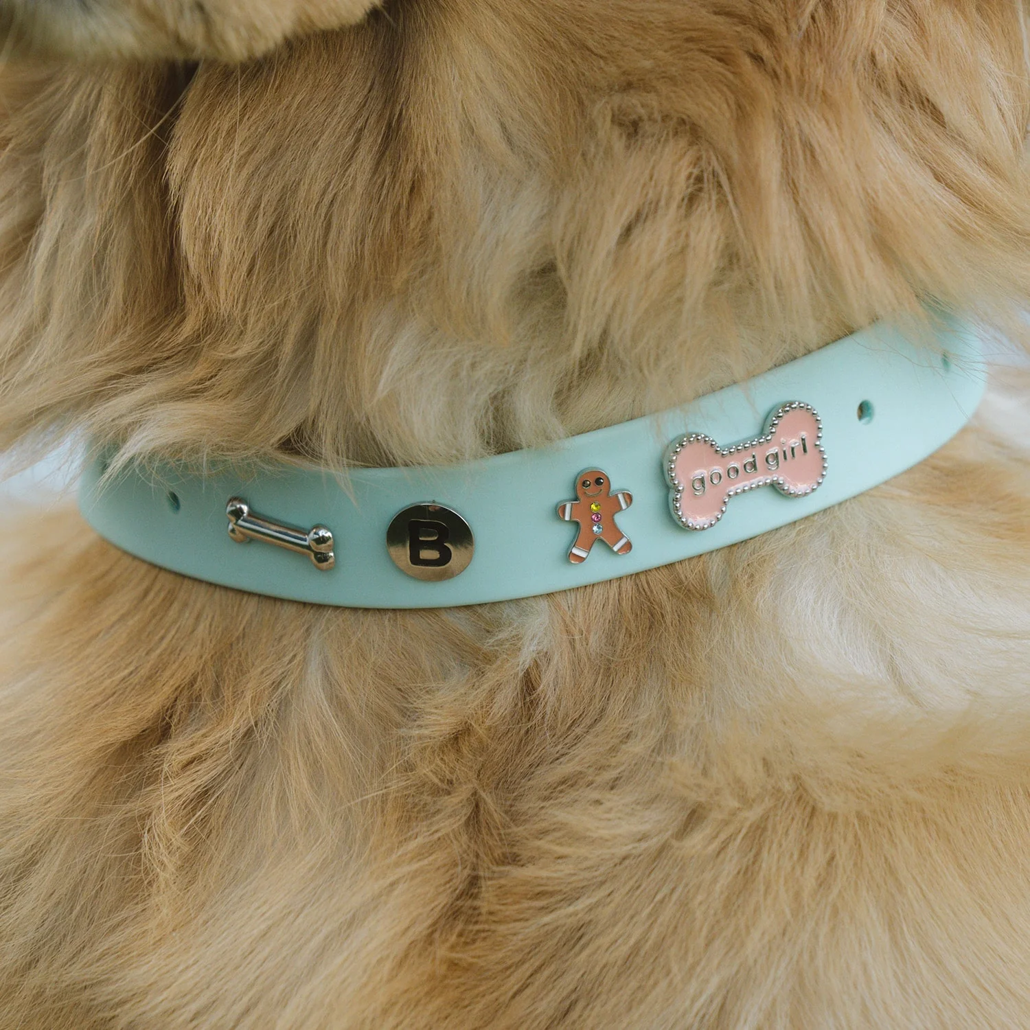 Build Your Dog Collar - Image 9
