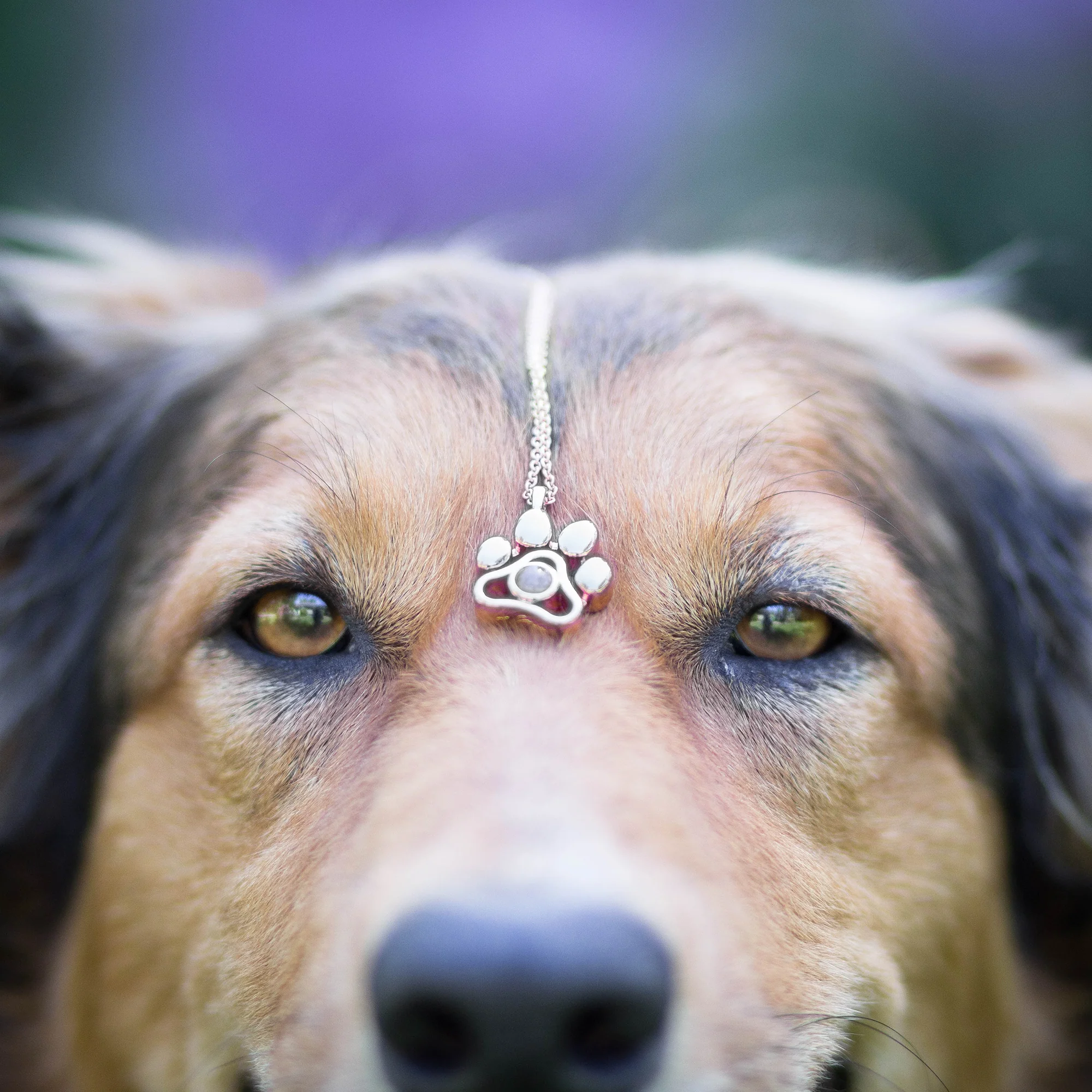 Personalized Pet Photo Necklace - Image 8