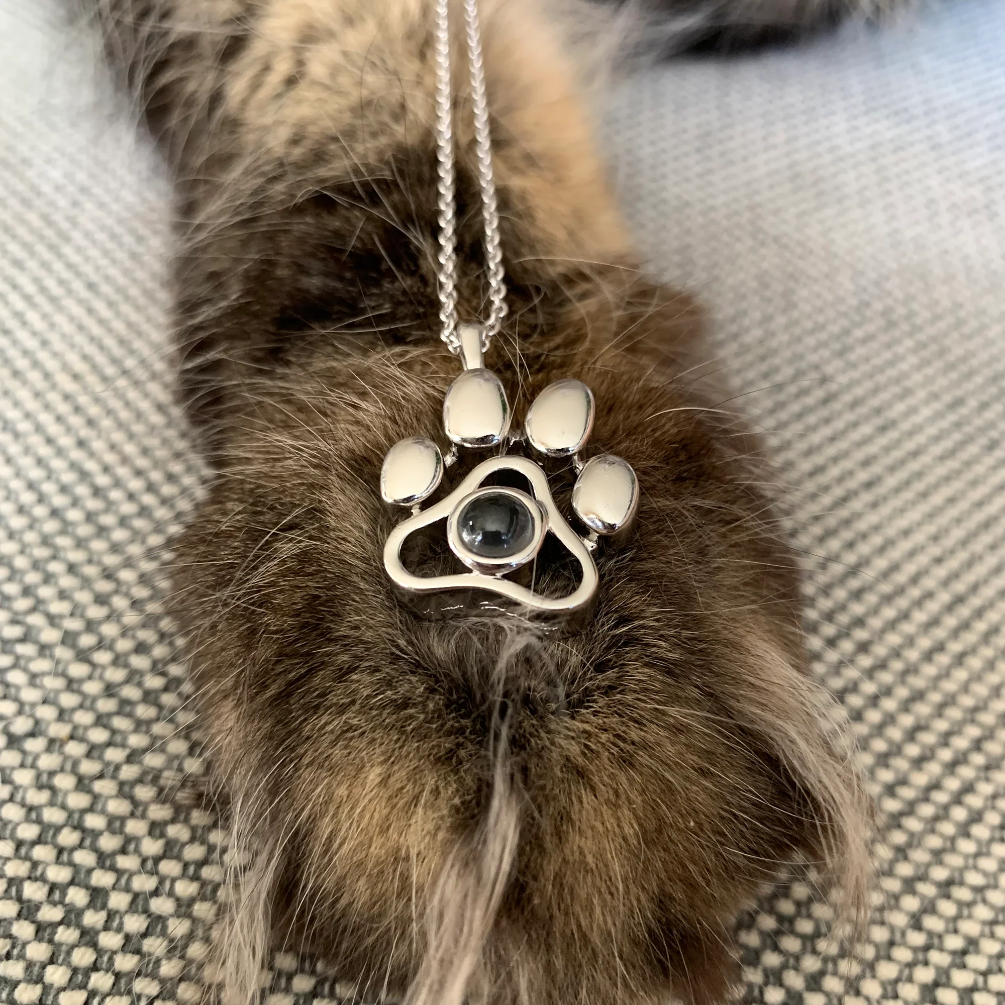 Personalized Pet Photo Necklace - Image 9